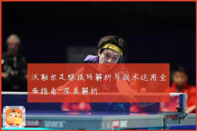 沃勒尔足球技巧解析与战术运用全面指南-深度解析