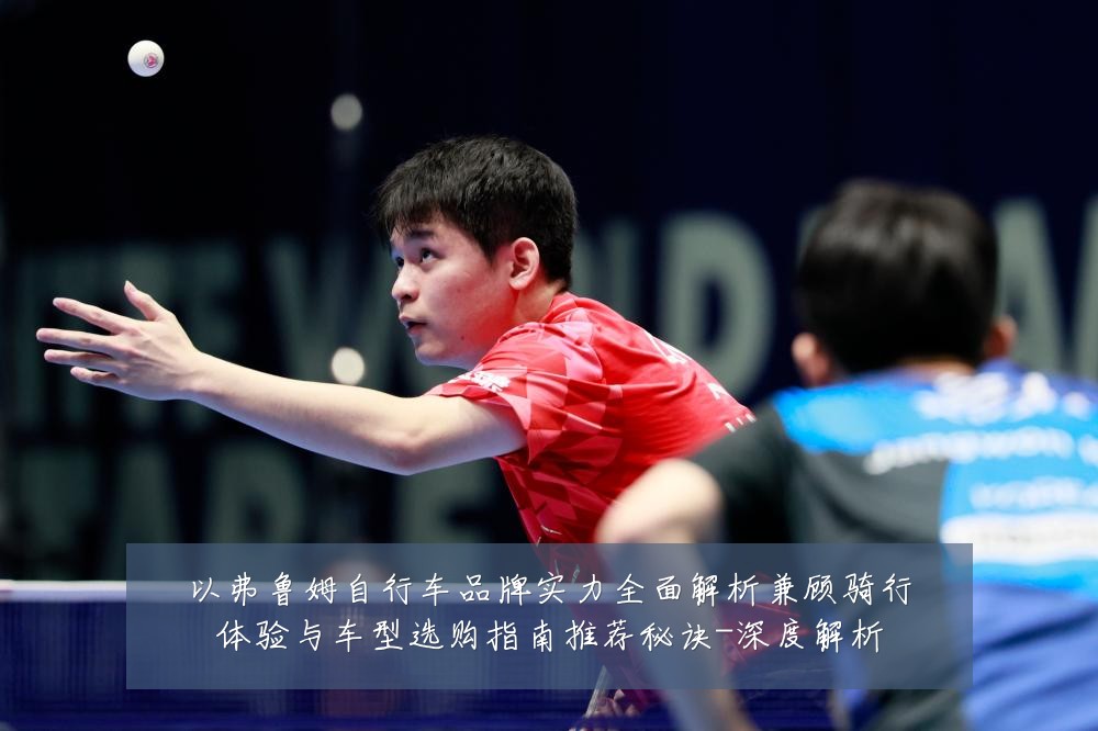 以弗鲁姆自行车品牌实力全面解析兼顾骑行体验与车型选购指南推荐秘诀-深度解析