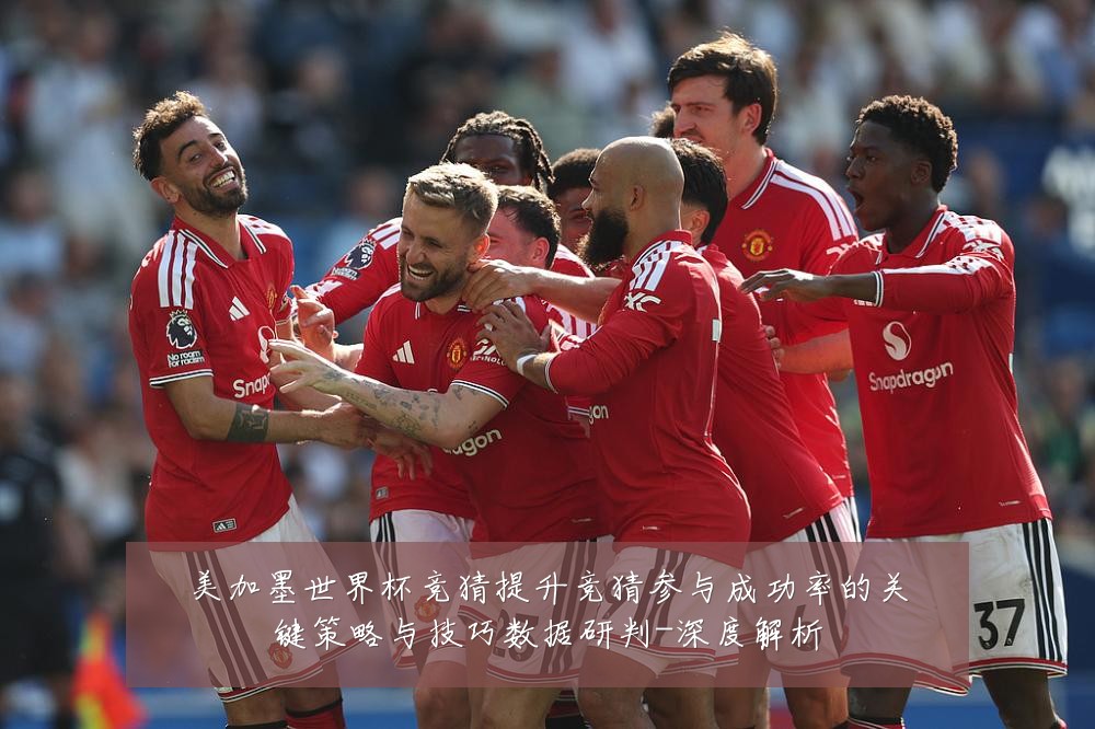 美加墨世界杯竞猜提升竞猜参与成功率的关键策略与技巧数据研判-深度解析